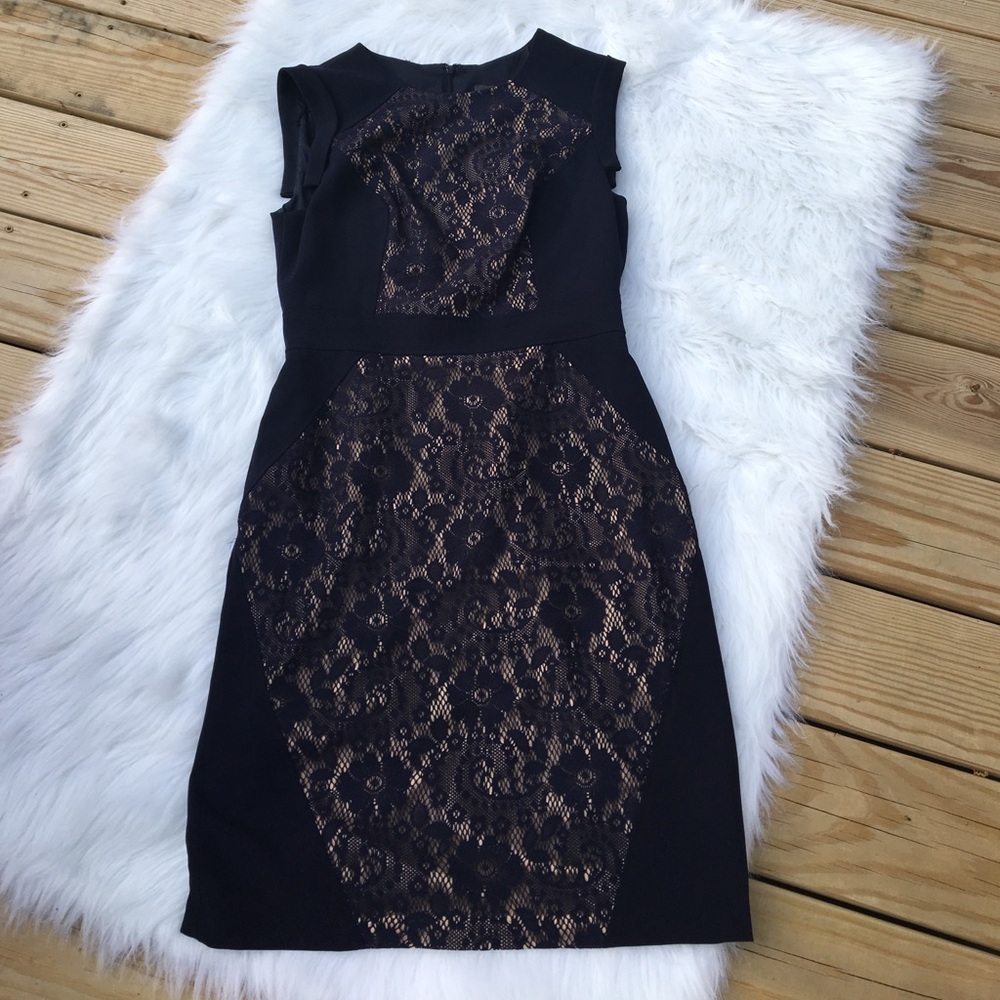 Adrianna Papell Lace Dress Navy Blue Beige sz 8